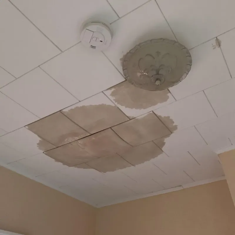 Ceiling Water Damage Repair in Lena, IL