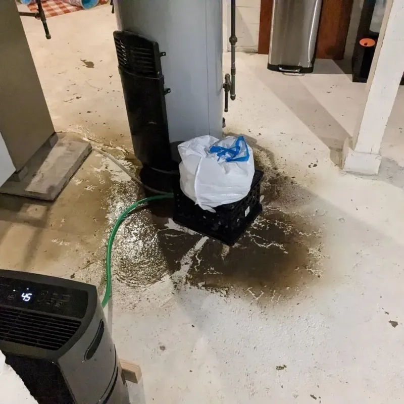 Sewage Backup Cleanup Service in Lena, IL